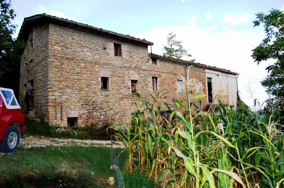 Podere pietra da Pontano