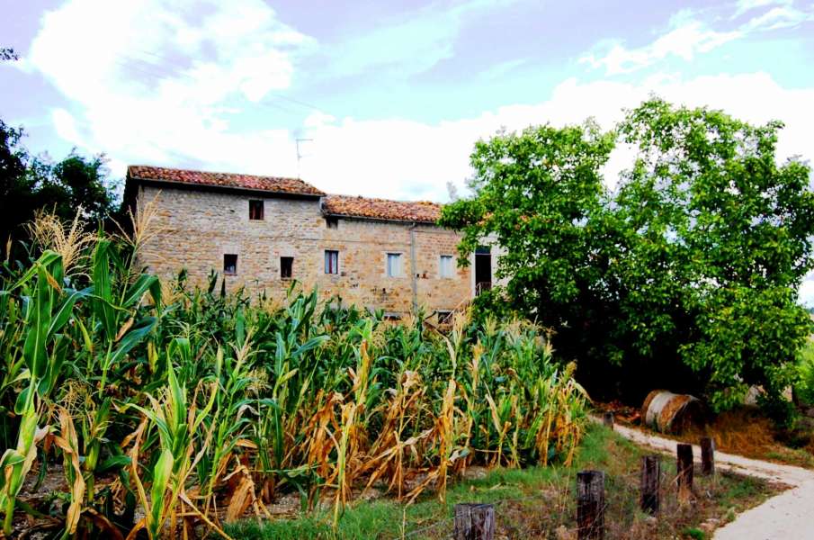Podere pietra da Pontano