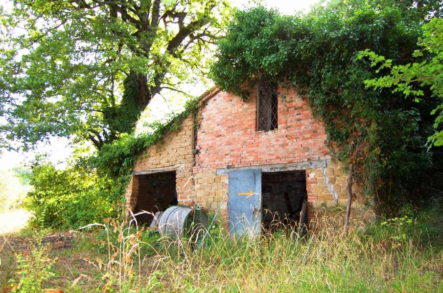 Podere pietra da Pontano