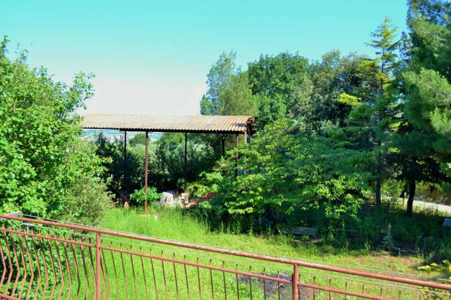 Casolare Sant' Elpidio a Mare