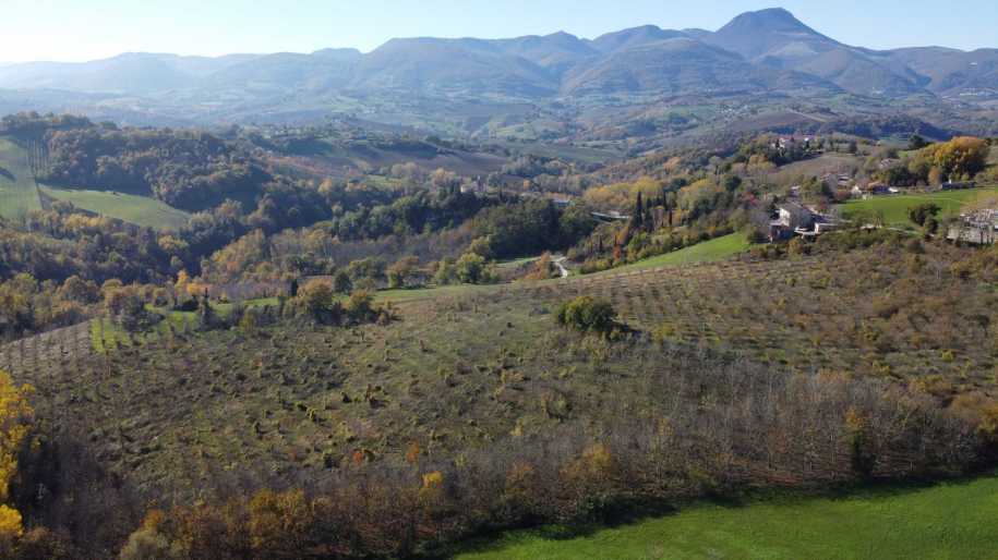 Properties for sale in Le Marche Italy