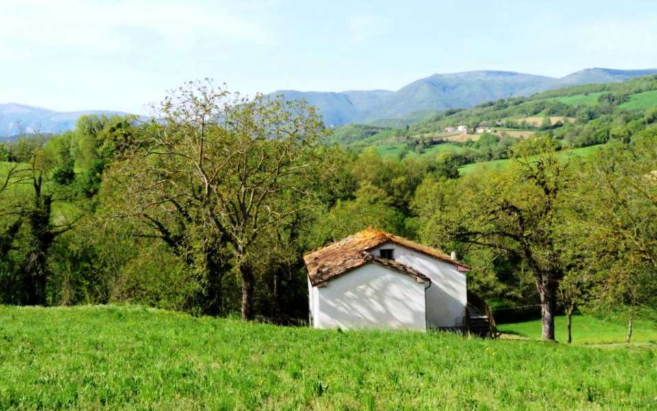 Casa singola da ristrutturare con annesso e terreno in vendita a Colmurano, provincia di Macerata