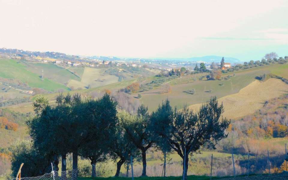 Podere agricolo con vari fabbricati e terreni a Sant'Angelo in Pontano (MC)