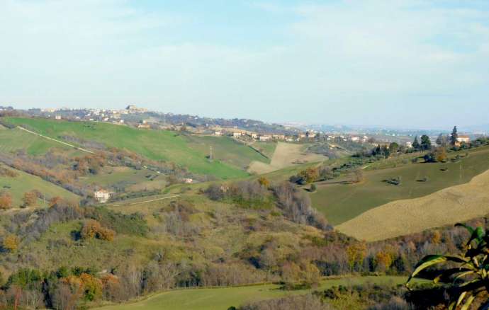 Podere agricolo con vari fabbricati e terreni a Sant'Angelo in Pontano (MC)
