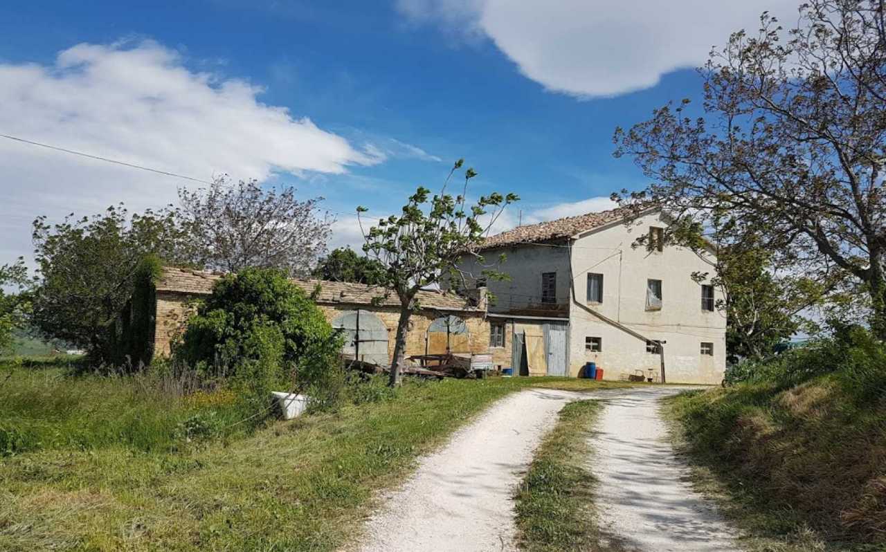 Casale da ristrutturare nelle campagne di Sant'Angelo in Pontano